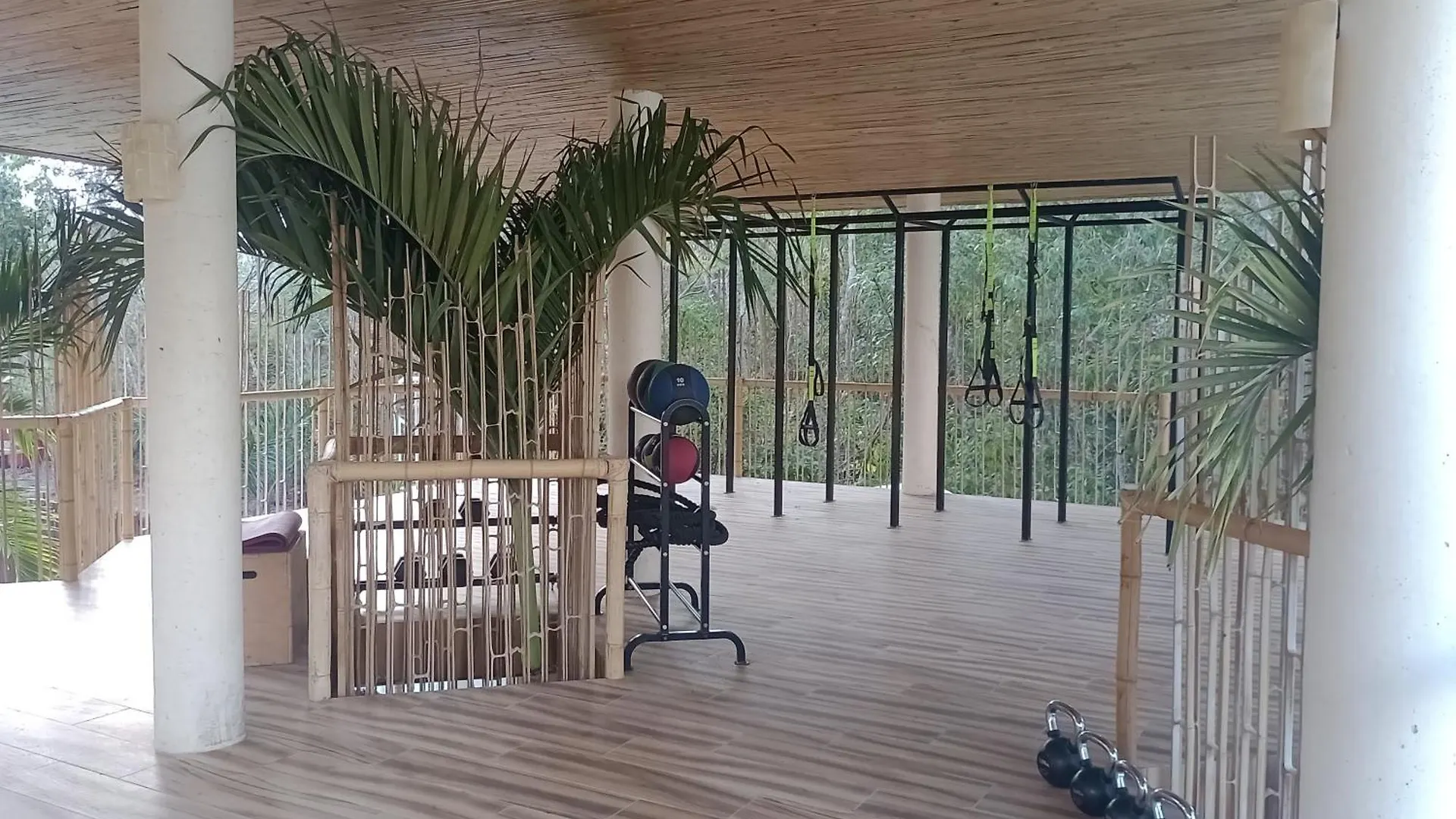 Estudios En Muuk Tulum Mexico