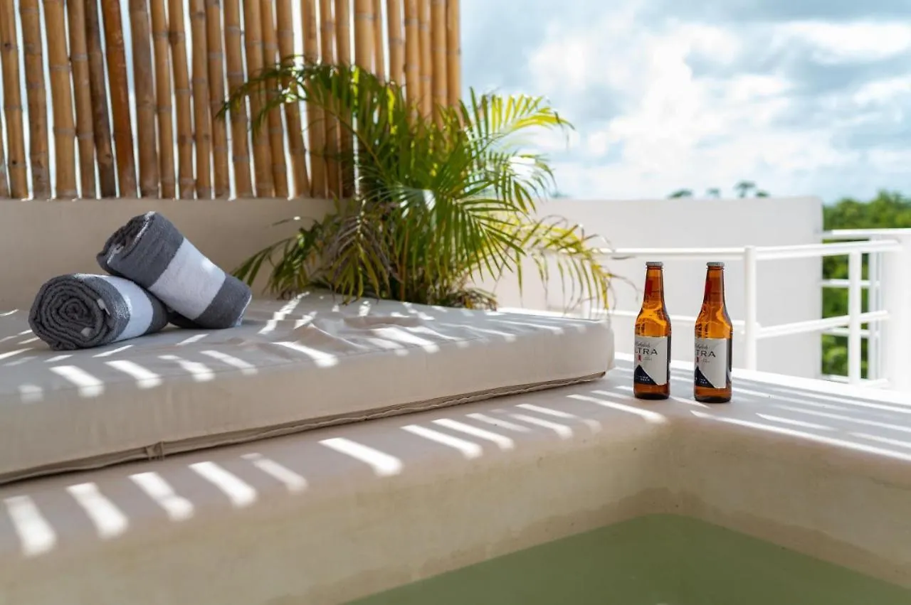 Estudios En Muuk Tulum Mexico